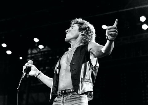 The Who | Roger Daltrey #3 | Limited Edition Print