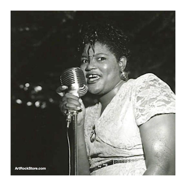 英LP Big Mama Thornton The Best Of Big Mama Thornton 1951 To 1958 ACRSLP1615 Acrobat /00260 Big Mama Thornton - The Best Of Big Mama Thornton 1951-1958