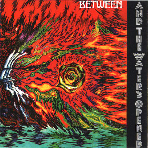 Between | And the Waters Opened | Album-Vinyl