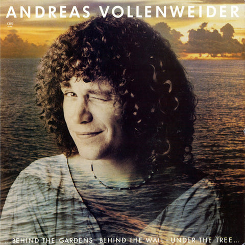 Andreas Vollenweider | Behind the Gardens, Behind the Wall, Under the Tree | Album-Vinyl