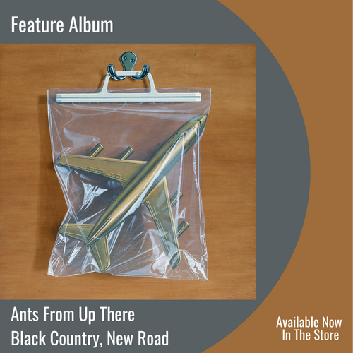 Ants From Up There | Feature Album