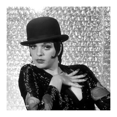 Liza Minnelli |  Artist