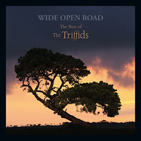 The Triffids | Wide Open Road: The Best of the Triffids (Comp.) | Album