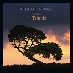 Les Triffides | Wide Open Road : Le meilleur des Triffides (Comp.) | Album