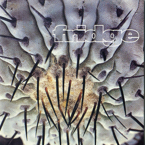 Fridge | Cactus | Album