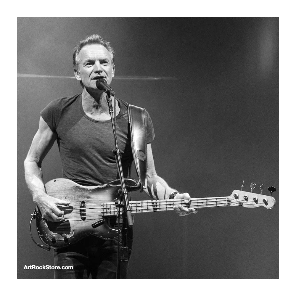 Sting | Artist