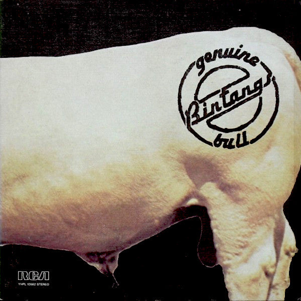 Bintangs | Genuine Bull | Album – Artrockstore