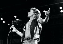 The Who | Roger Daltrey #3 | Tirage en édition limitée