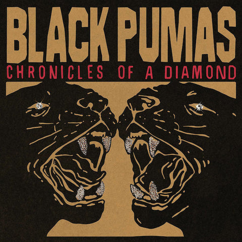 Black Pumas | Chronicles of a Diamond | Album