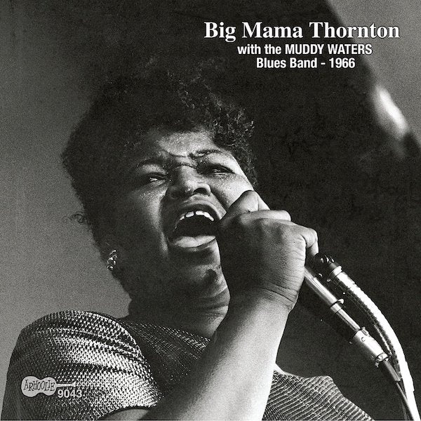 Big Mama Thornton | The Queen at Monterey (Live) | Album