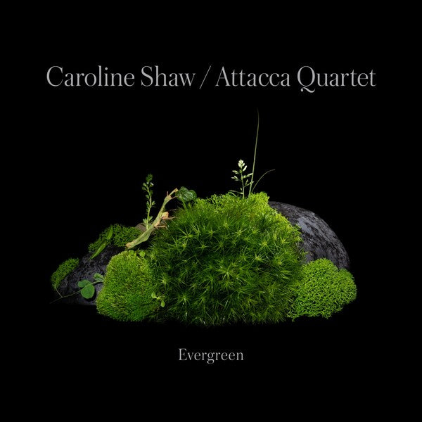 Caroline Shaw | Evergreen (w/ Attacca Quartet) | Album