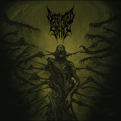 Defeated Sanity | Passages Into Deformity | Album