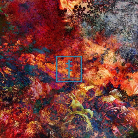 Frail Body | Artificial Bouquet | Album