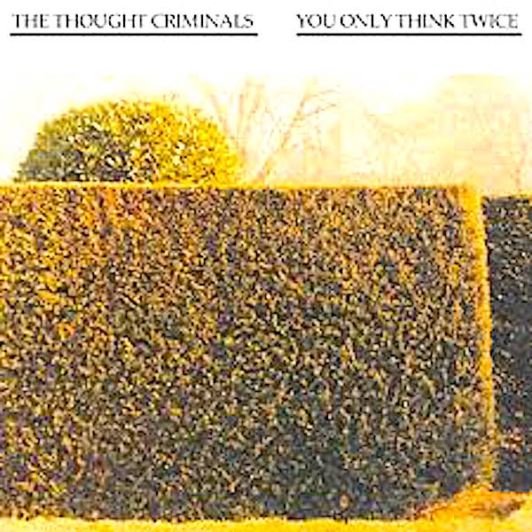 The Thought Criminals | You Only Think Twice | Album