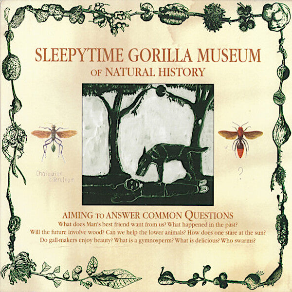 Musée des gorilles Sleepytime | D'histoire naturelle | Album