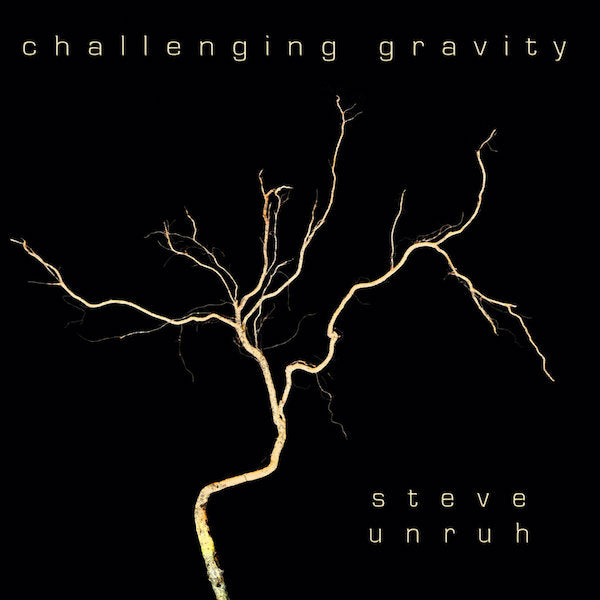 Steve Unruh | Défier la gravité | Album