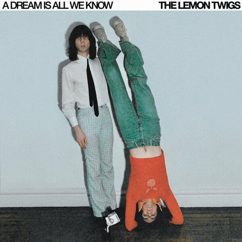 The Lemon Twigs | A Dream is all we Know | Album