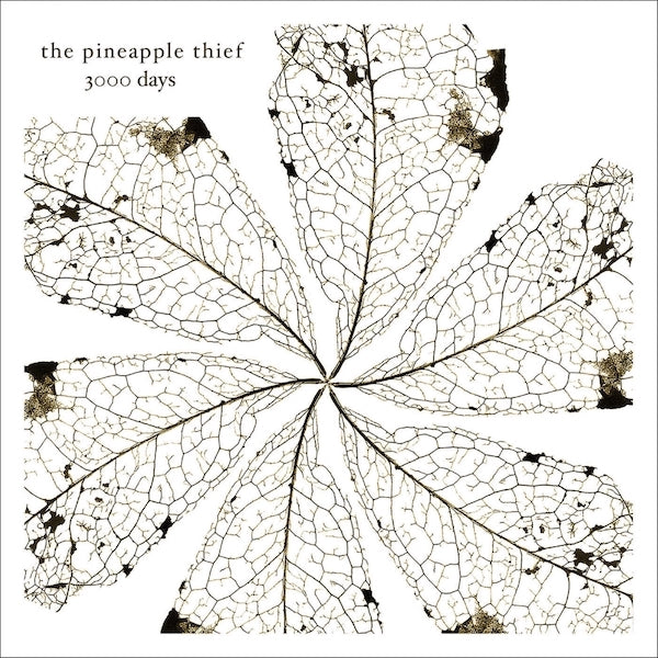The Pineapple Thief | 3000 Days | Album-Vinyl