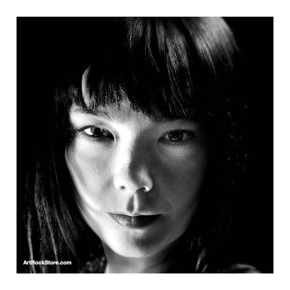 Björk | Artist