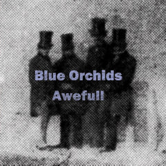 Blue Orchids | Awefull (Comp.) | Album