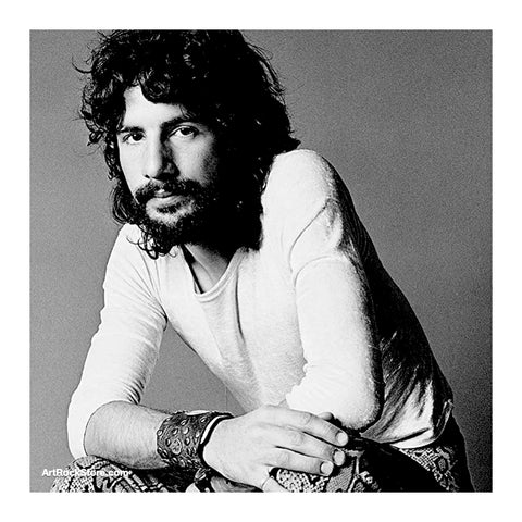 Cat Stevens | Artist