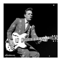 Chris Isaak | Artist