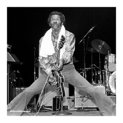 Chuck Berry |  Artist