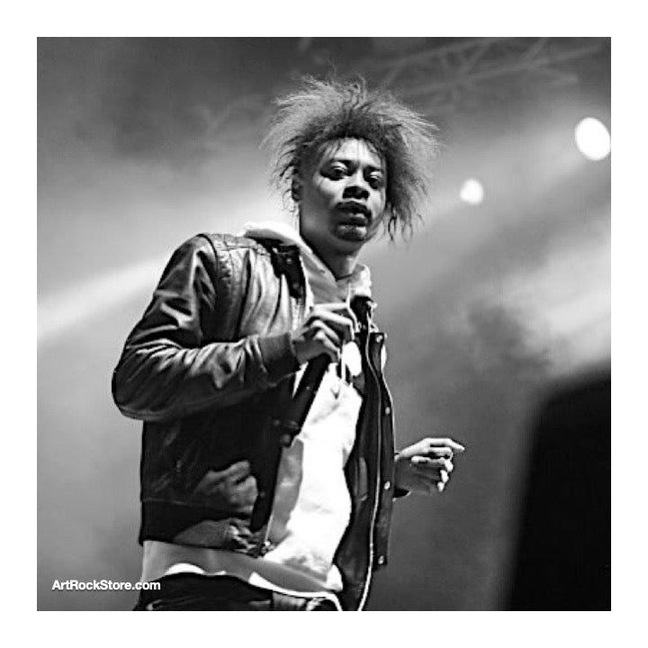 Danny Brown | Artist