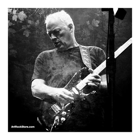 David Gilmour | Artist