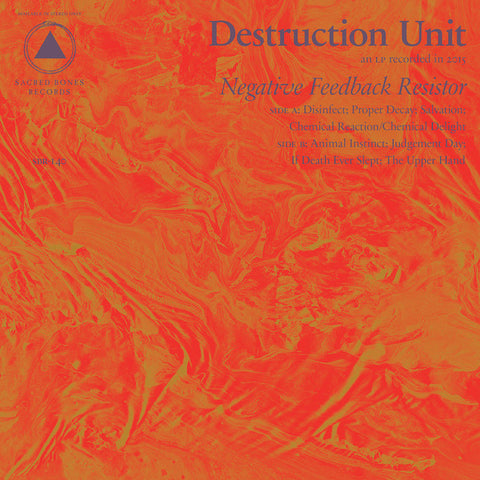 Destruction Unit | Negative Feedback Resistor | Album-Vinyl