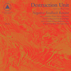 Destruction Unit | Negative Feedback Resistor | Album