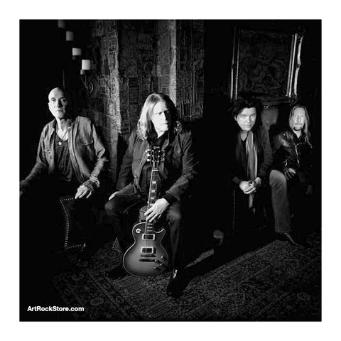 Gov't Mule | Artist