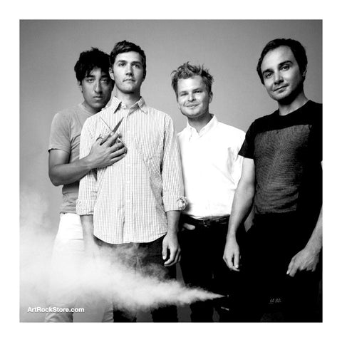 Grizzly Bear | Artist