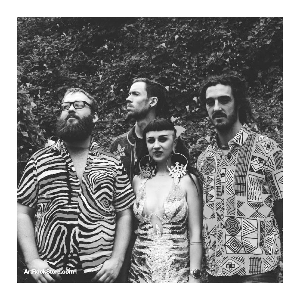 Hiatus Kaiyote | Artist