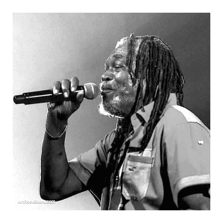 Horace Andy | Artist