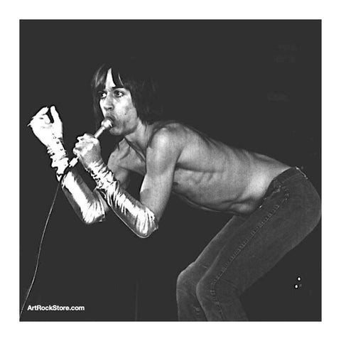 Iggy Pop | Artist