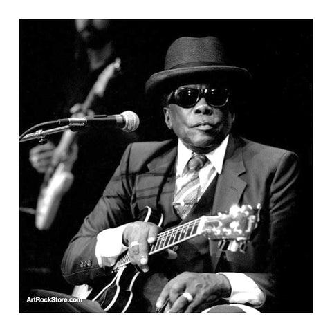 John Lee Hooker | Artist