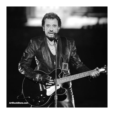 Johnny Hallyday | Artist