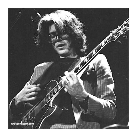 Larry Coryell | Artist