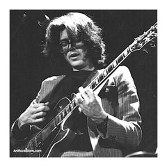 Larry Coryell |  Artist