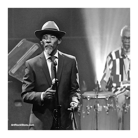 Linton Kwesi Johnson | Artist