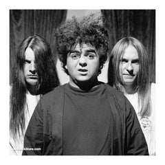 Melvins |  Artist