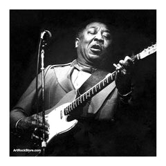 Muddy Waters |  Artist