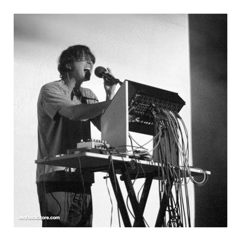 Panda Bear | Artist