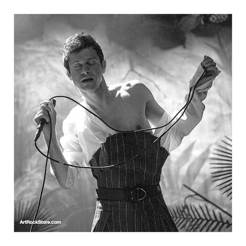 Perfume Genius | Artist