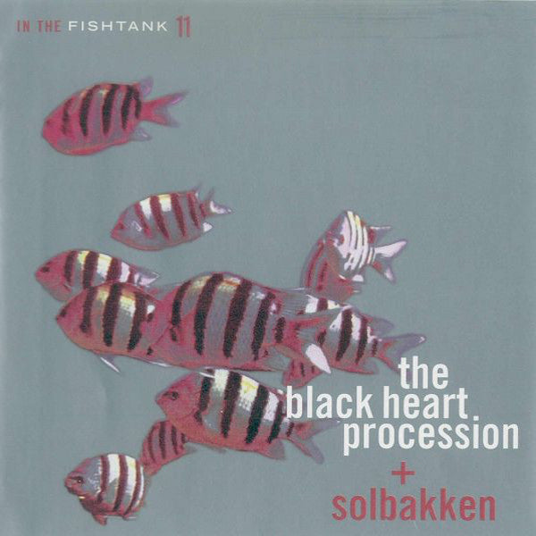 The Black Heart Procession | In the Fishtank 11 (w/ Solbakken) | Album-Vinyl
