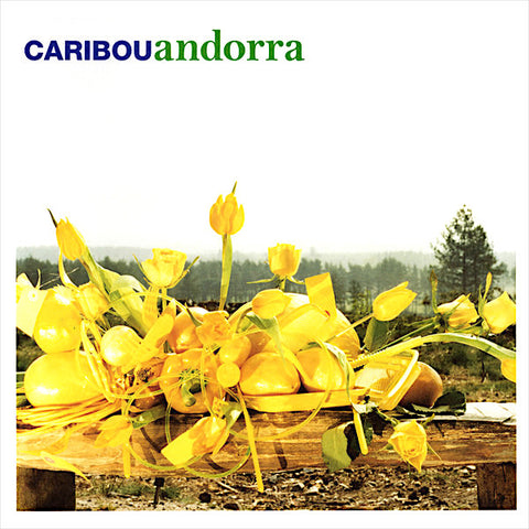 Caribou | Andorra | Album-Vinyl