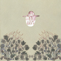 Devendra Banhart | Smokey roule dans le Thunder Canyon | Album