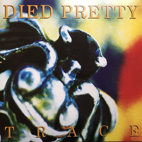 Died Pretty | Trace | Album-Vinyl