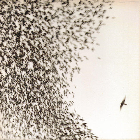 Wilco | Sky Blue Sky | Album-Vinyl